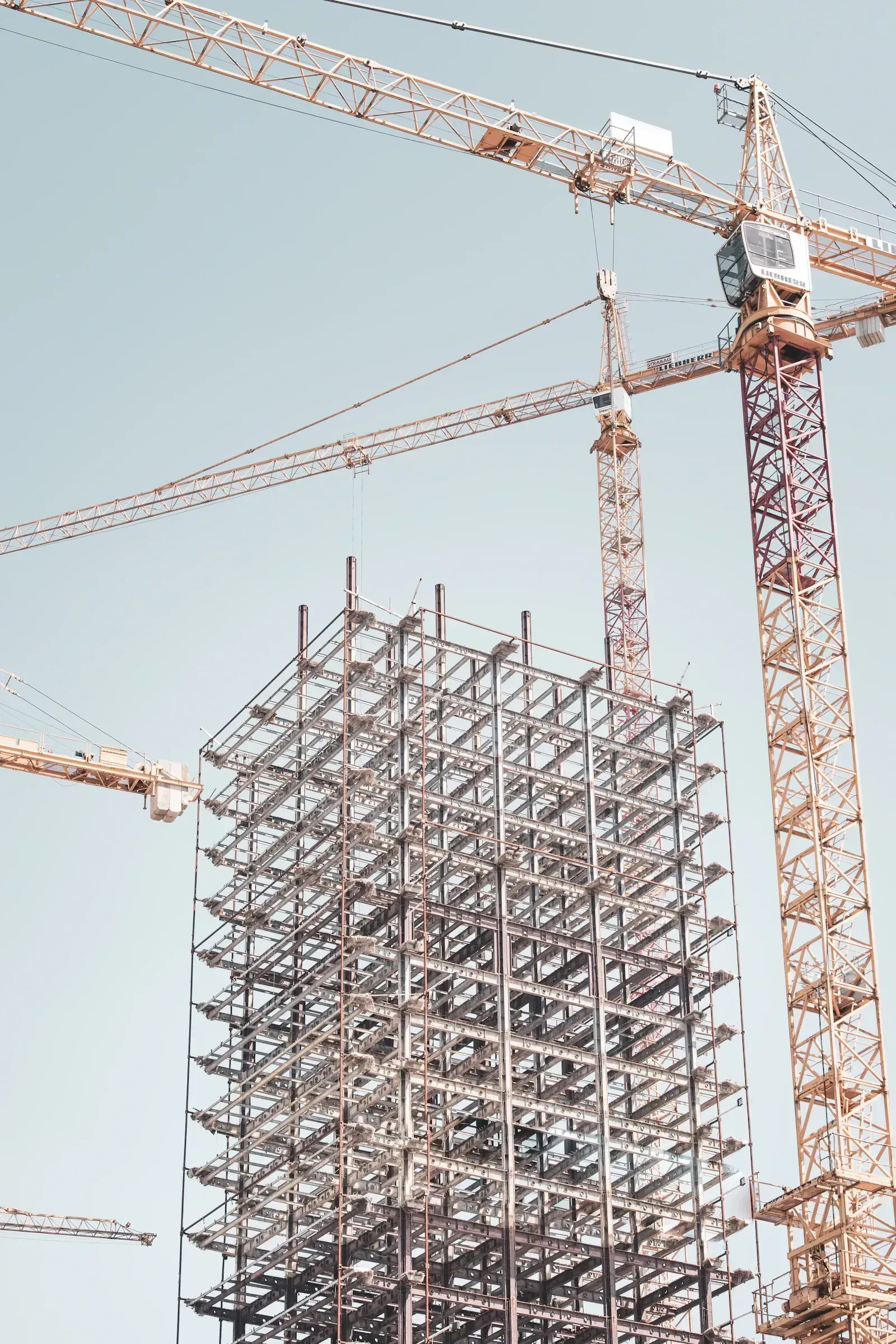 Visión de construcción sostenible en acero de Davion Frame